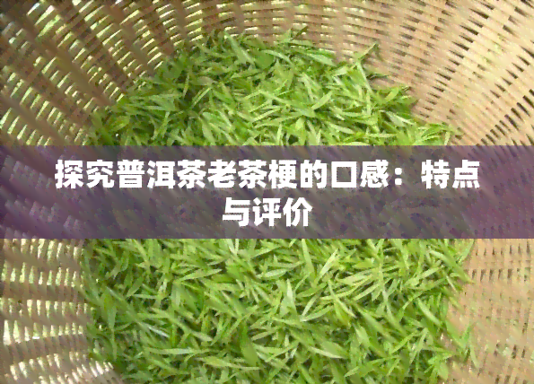 探究普洱茶老茶梗的口感：特点与评价