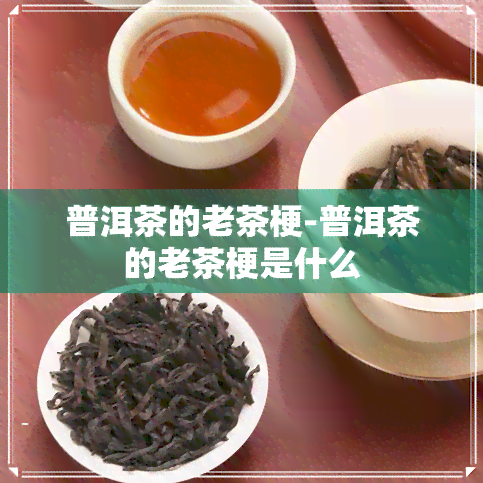 普洱茶的老茶梗-普洱茶的老茶梗是什么