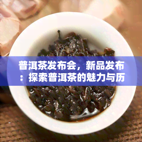 普洱茶发布会，新品发布：探索普洱茶的魅力与历