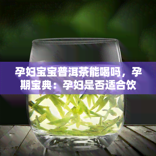 孕妇宝宝普洱茶能喝吗，孕期宝典：孕妇是否适合饮用普洱茶？