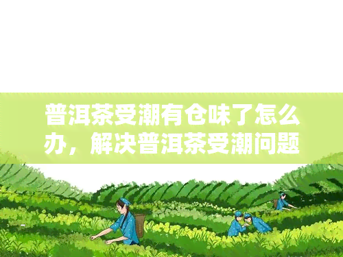 普洱茶受潮有仓味了怎么办，解决普洱茶受潮问题：去除仓味的有效方法