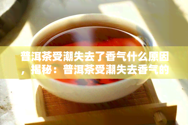 普洱茶受潮失去了香气什么原因，揭秘：普洱茶受潮失去香气的原因是什么？