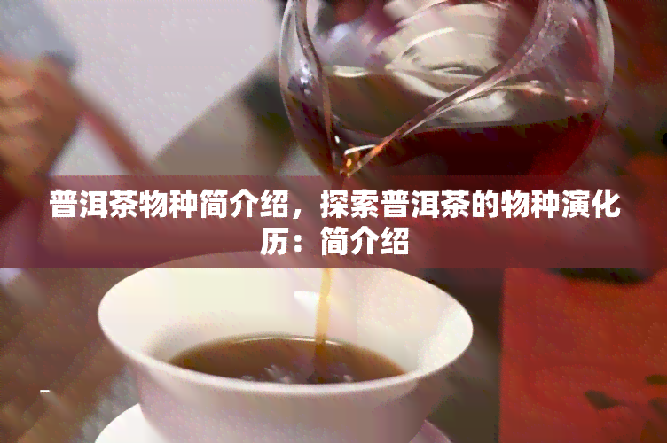 普洱茶物種簡介紹探索普洱茶的物種演化歷簡介紹