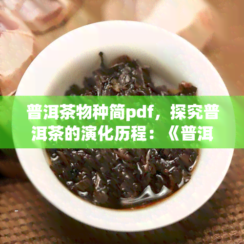 普洱茶物种简pdf，探究普洱茶的演化历程：《普洱茶物种简》PDF阅读