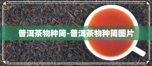 普洱茶物种简-普洱茶物种简图片