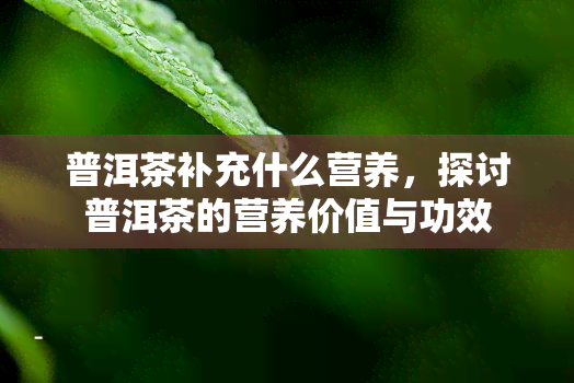 普洱茶补充什么营养，探讨普洱茶的营养价值与功效