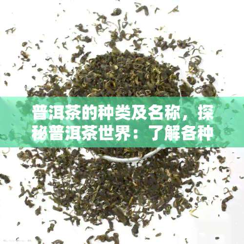 普洱茶的种类及名称，探秘普洱茶世界：了解各种类型的名称与特点