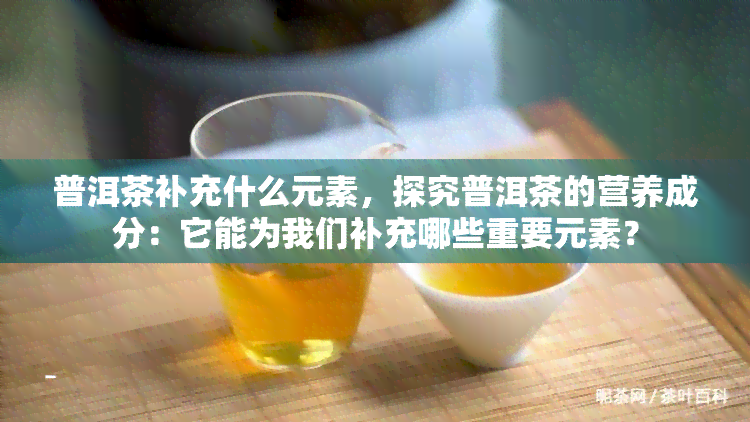 普洱茶补充什么元素，探究普洱茶的营养成分：它能为我们补充哪些重要元素？