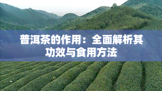 普洱茶的作用：全面解析其功效与食用方法