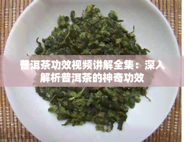 普洱茶功效视频讲解全集：深入解析普洱茶的神奇功效