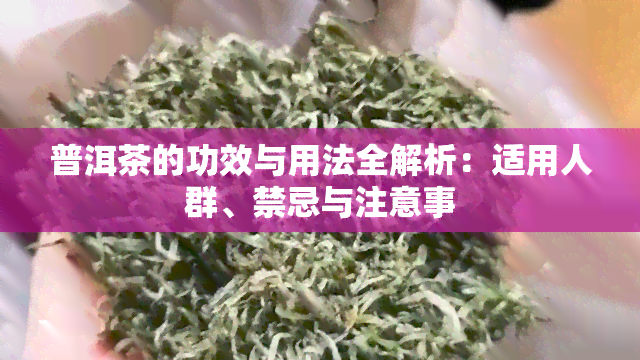 普洱茶的功效与用法全解析：适用人群、禁忌与注意事