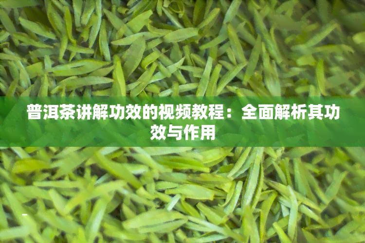 普洱茶讲解功效的视频教程：全面解析其功效与作用