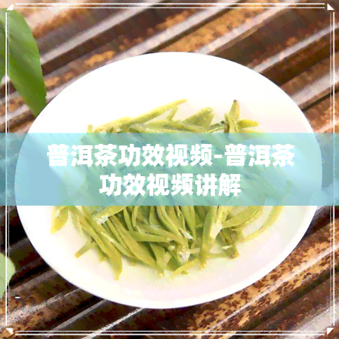 普洱茶功效视频-普洱茶功效视频讲解