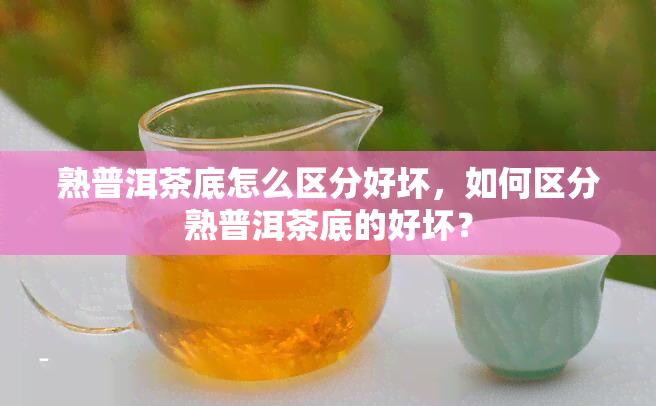 熟普洱茶底怎么区分好坏，如何区分熟普洱茶底的好坏？