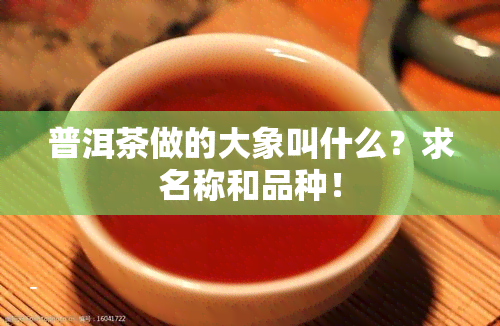 普洱茶做的大象叫什么？求名称和品种！