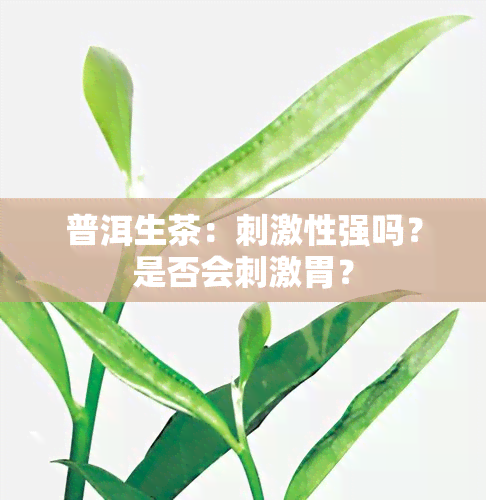 普洱生茶：刺激性强吗？是否会刺激胃？