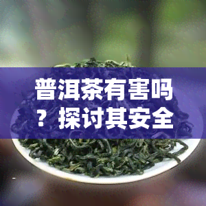 普洱茶有害吗？探讨其安全性与饮用建议