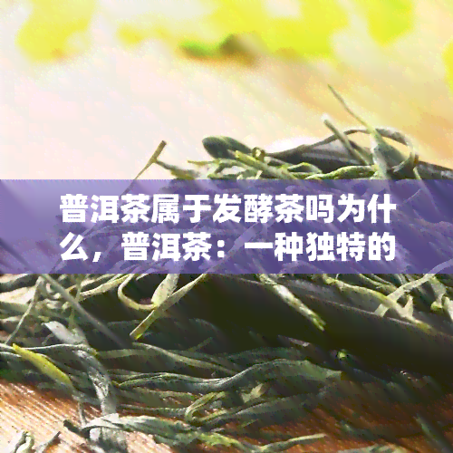 普洱茶属于发酵茶吗为什么，普洱茶：一种独特的发酵茶，你知道为什么吗？