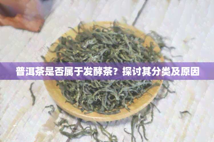 普洱茶是否属于发酵茶？探讨其分类及原因