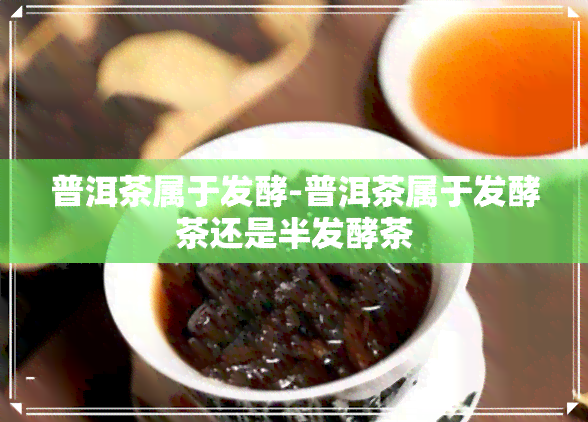 普洱茶属于发酵-普洱茶属于发酵茶还是半发酵茶