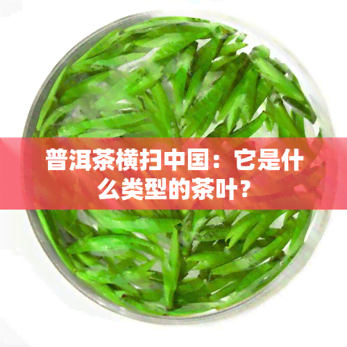 普洱茶横扫中国：它是什么类型的茶叶？