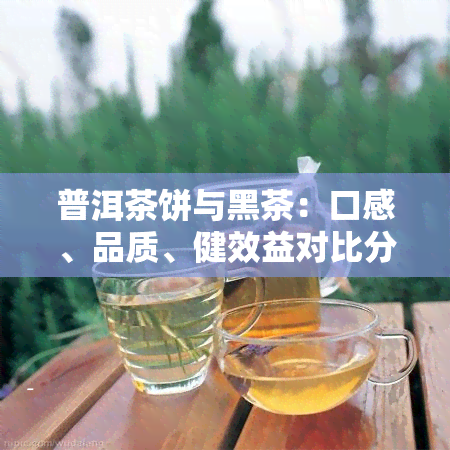 普洱茶饼与黑茶：口感、品质、健效益对比分析