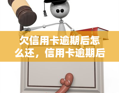 欠信用卡逾期后怎么还，信用卡逾期后的还款指南