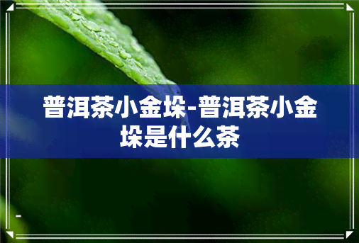 普洱茶小金垛-普洱茶小金垛是什么茶