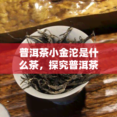 普洱茶小金沱是什么茶，探究普洱茶中的小金沱：它到底是什么茶？