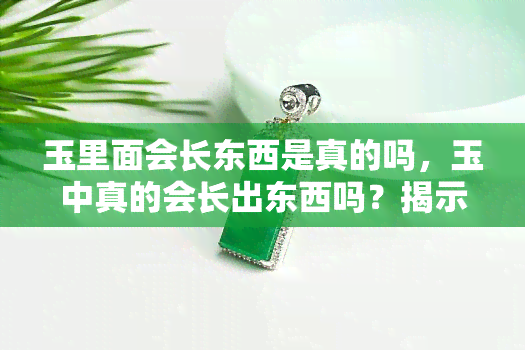 玉里面会长东西是真的吗，玉中真的会长出东西吗？揭示这一神秘现象的真相