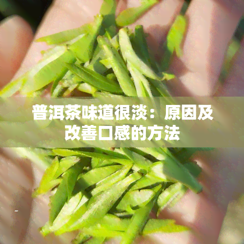 普洱茶味道很淡：原因及改善口感的方法