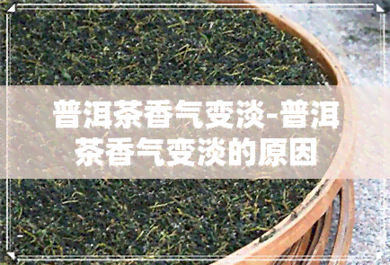 普洱茶香气变淡-普洱茶香气变淡的原因