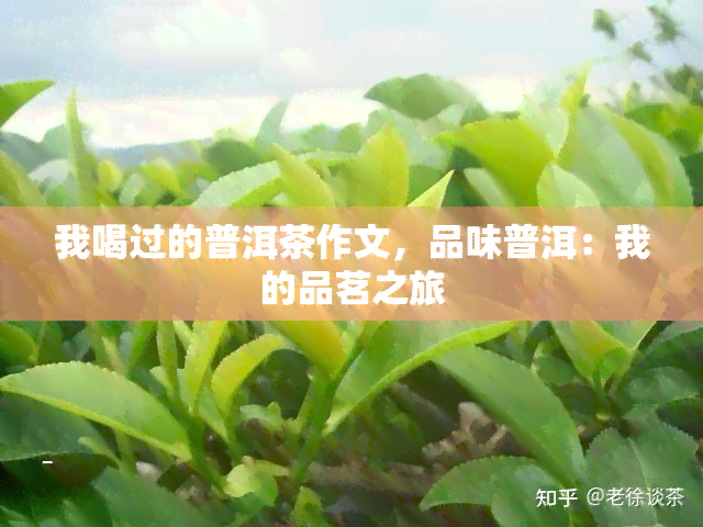 我喝过的普洱茶作文，品味普洱：我的品茗之旅