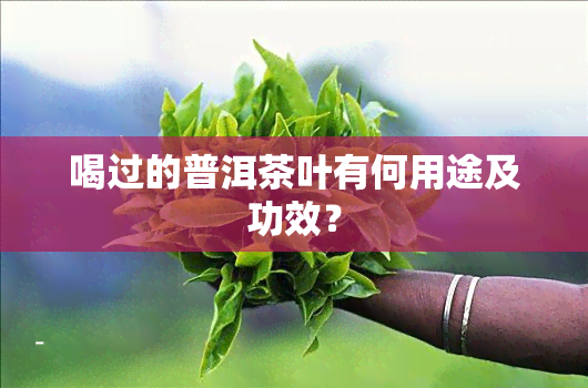 喝过的普洱茶叶有何用途及功效？