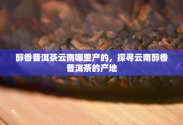 醇香普洱茶云南哪里产的，探寻云南醇香普洱茶的产地