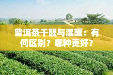 普洱茶干醒与湿醒：有何区别？哪种更好？