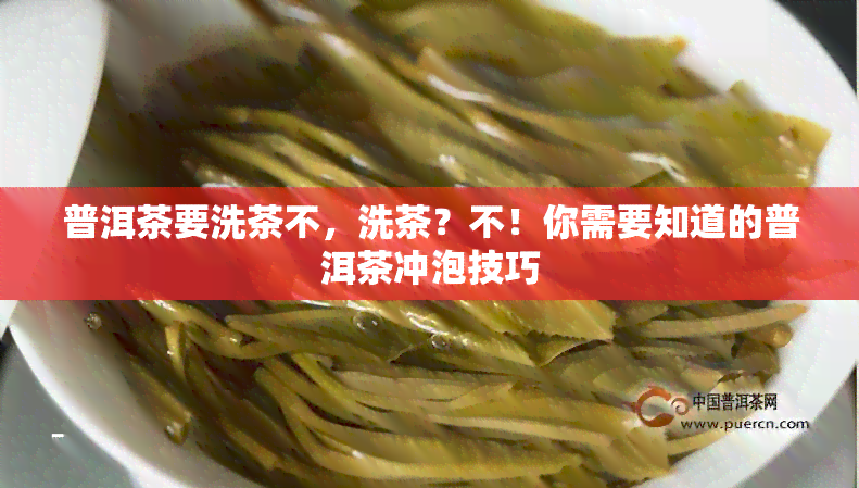 普洱茶要洗茶不，洗茶？不！你需要知道的普洱茶冲泡技巧