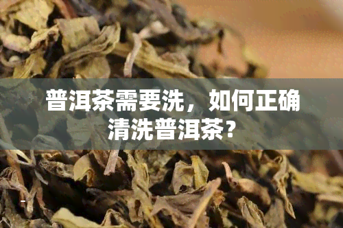 普洱茶需要洗，如何正确清洗普洱茶？