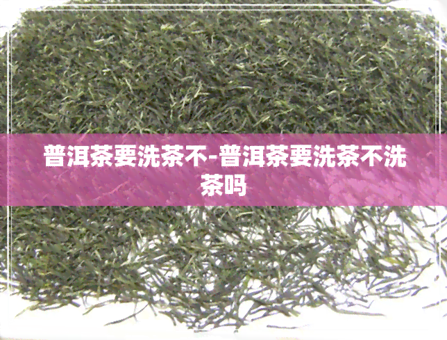 普洱茶要洗茶不-普洱茶要洗茶不洗茶吗