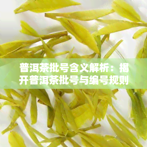 普洱茶批号含义解析：揭开普洱茶批号与编号规则的神秘面纱