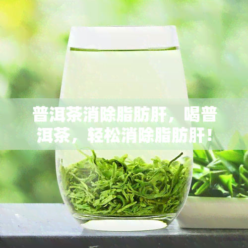 普洱茶消除脂肪肝，喝普洱茶，轻松消除脂肪肝！