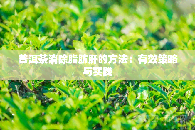 普洱茶消除脂肪肝的方法：有效策略与实践