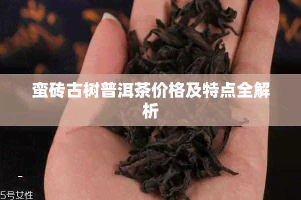 蛮砖古树普洱茶价格及特点全解析