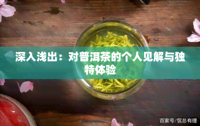 深入浅出：对普洱茶的个人见解与独特体验