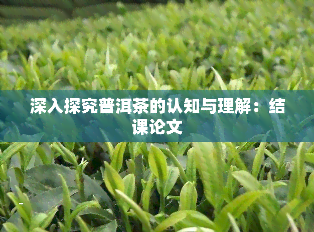 深入探究普洱茶的认知与理解：结课论文