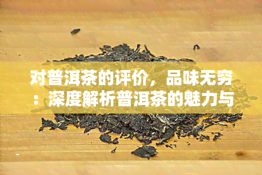 对普洱茶的评价，品味无穷：深度解析普洱茶的魅力与价值