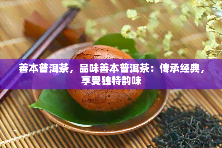 善本普洱茶，品味善本普洱茶：传承经典，享受独特韵味