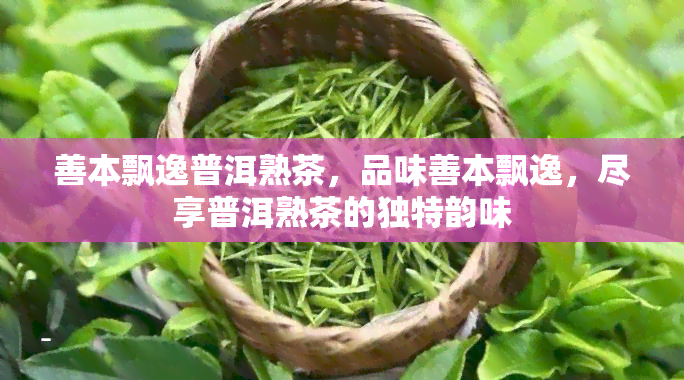 善本飘逸普洱熟茶，品味善本飘逸，尽享普洱熟茶的独特韵味