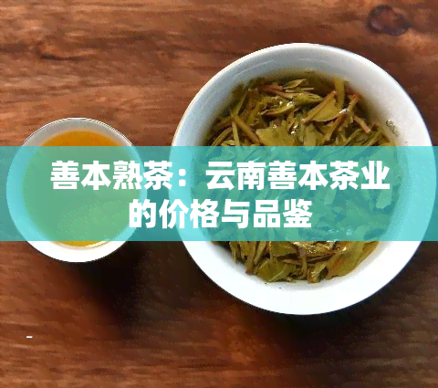 善本熟茶：云南善本茶业的价格与品鉴