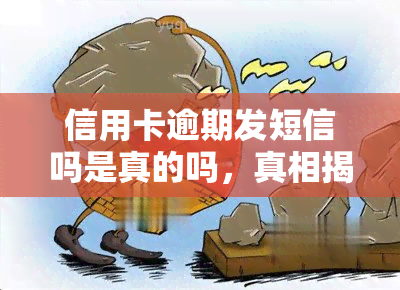 信用卡逾期发短信吗是真的吗，真相揭秘：信用卡逾期是否真的会收到短信通知？